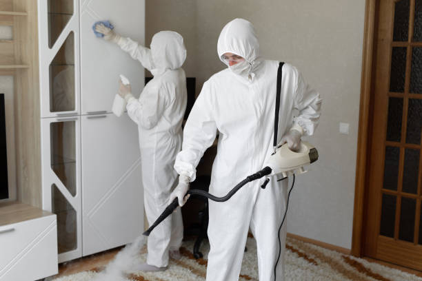 Best Mold Cleaning Services  in Despard, WV